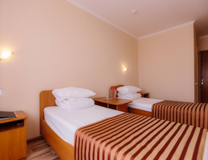 Стандарт Стандарт 2-местный 1-комнатный - Санаторий «Набережные челны»