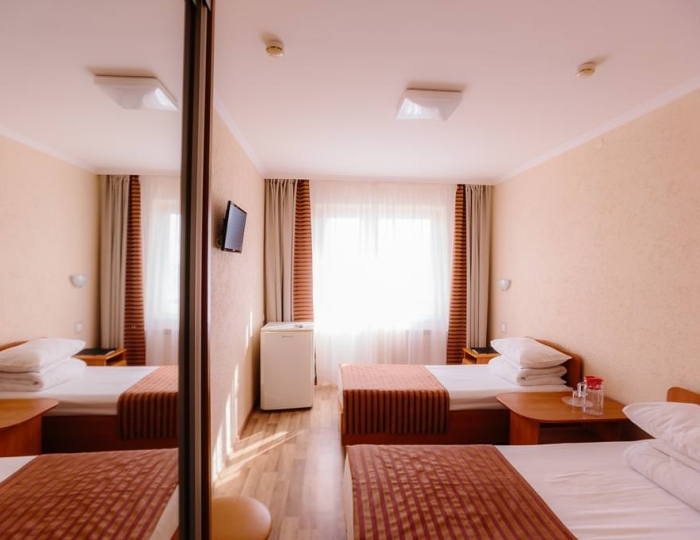 Стандарт Стандарт 2-местный 1-комнатный - Санаторий «Набережные челны»